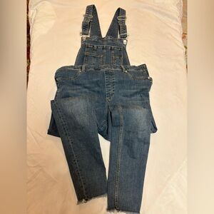 Free People overalls